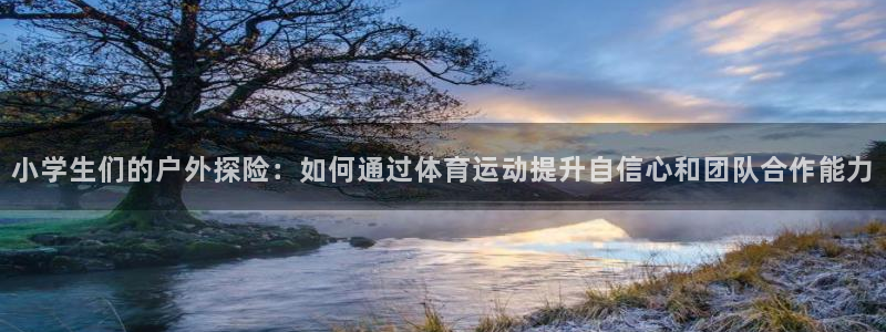 321体育免费下载安装最新版本