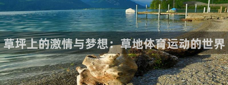 321体育林东：草坪上的激情与梦想：草地体育运动的世界